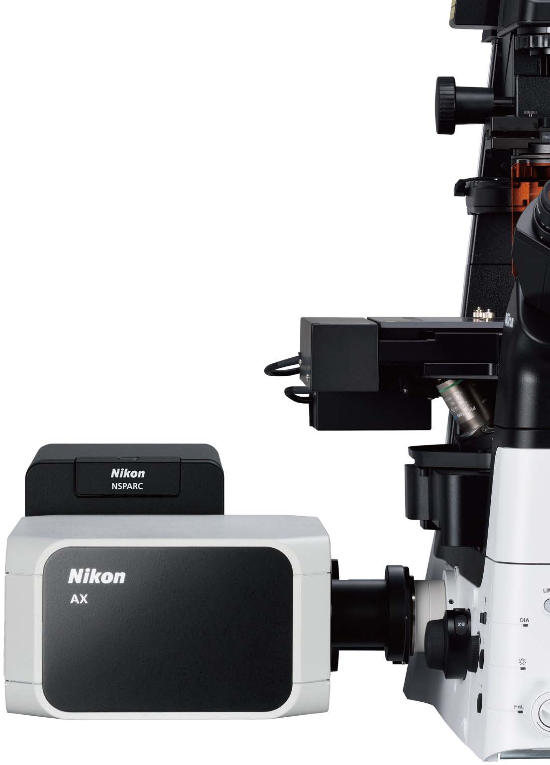 超解像共焦点レーザ顕微鏡システム 画像