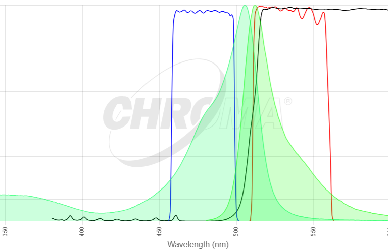 BODIPY FL/pH7.2