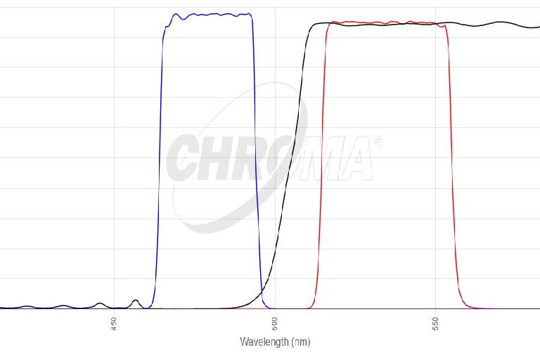 EGFP/FITC/Cy2/AlexaFluor 488フィルタセット