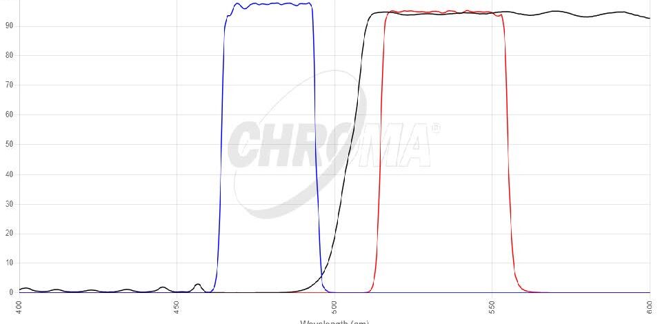 EGFP/FITC/Cy2/AlexaFluor 488フィルタセット 画像