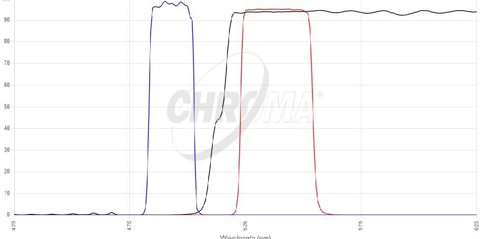 EYFP/Venus/Citrineフィルタセット 画像