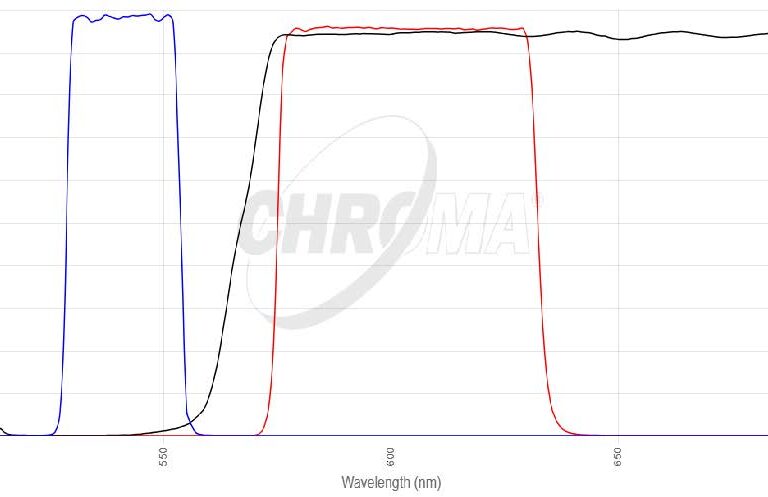 TRITC/Cy3/TagRFP/AlexFluor 546フィルタセット