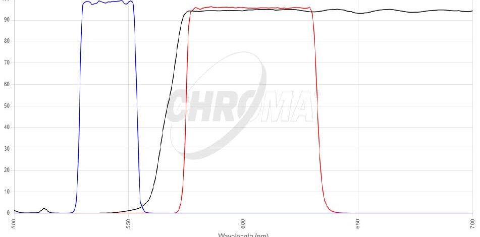 TRITC/Cy3/TagRFP/AlexFluor 546フィルタセット 画像