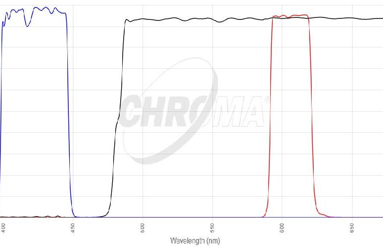 Qdot 605フィルタセット