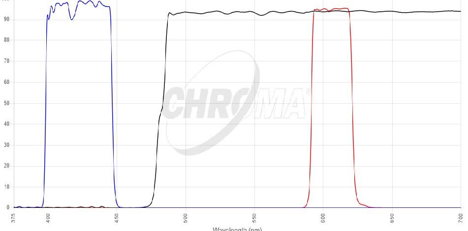 Qdot 605フィルタセット 画像
