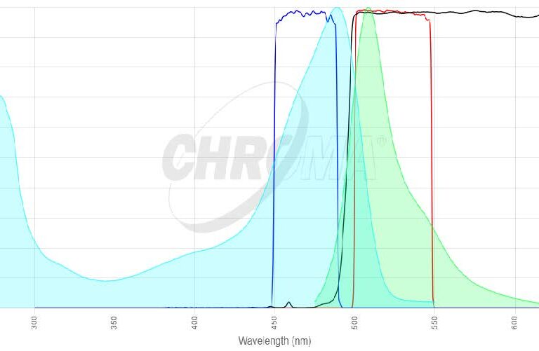 GFPフィルタセット