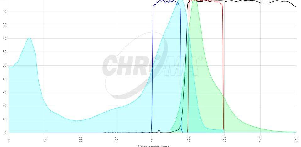 GFPフィルタセット 画像