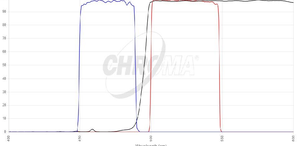 EGFP(FITC/Cy2)フィルタセット 画像