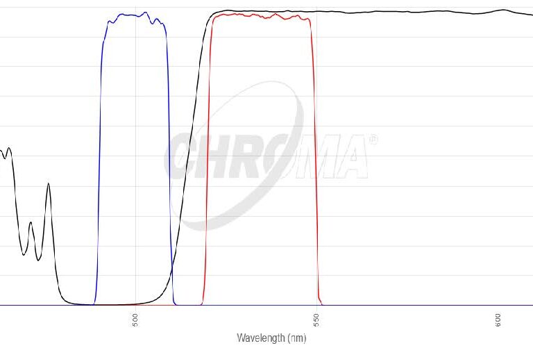 EYFPフィルタセット