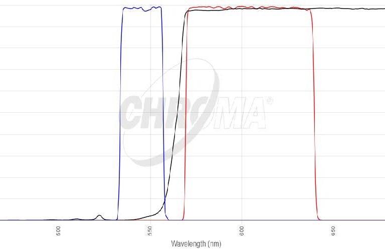 Cy3/TRITCフィルタセット