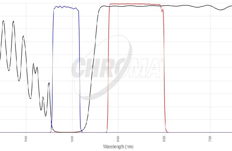 DSRed(TRITC/Cy3)フィルタセット