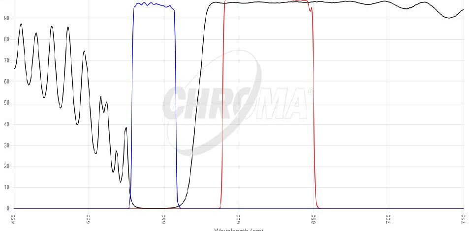 DSRed(TRITC/Cy3)フィルタセット 画像