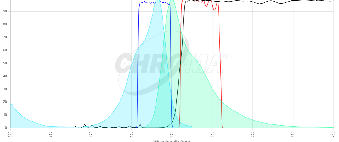 SYTO 9/DNA image