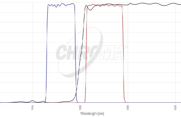 mKO/mOrangeフィルタセット