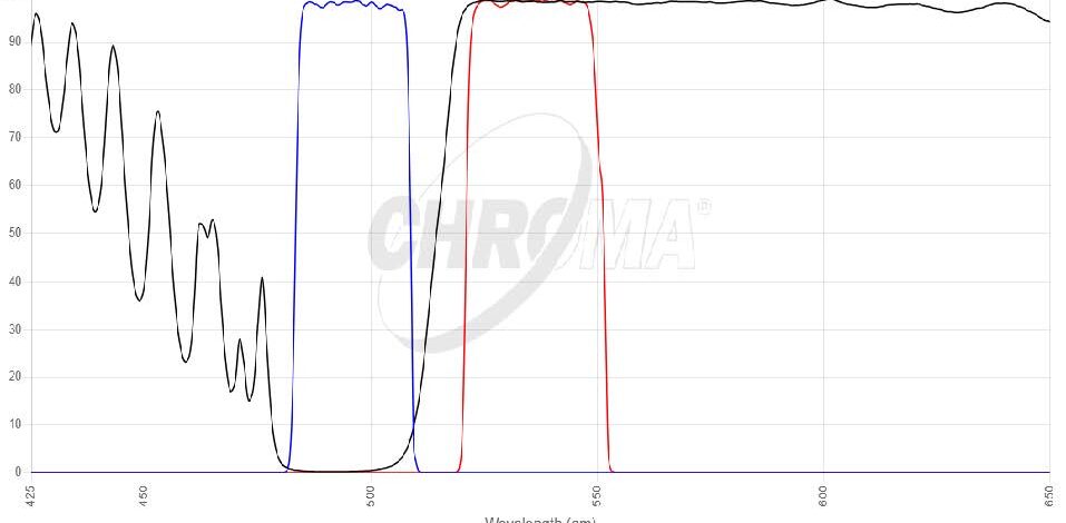 Green#1 FISHフィルタセット 画像