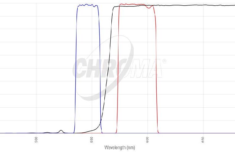 Orange#1 FISHフィルタセット