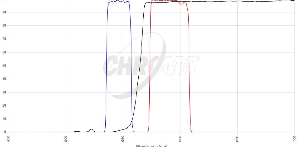 Orange#1 FISHフィルタセット 画像
