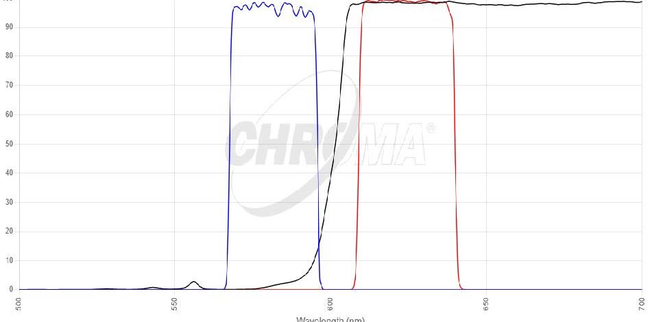 Red#1 FISHフィルタセット 画像