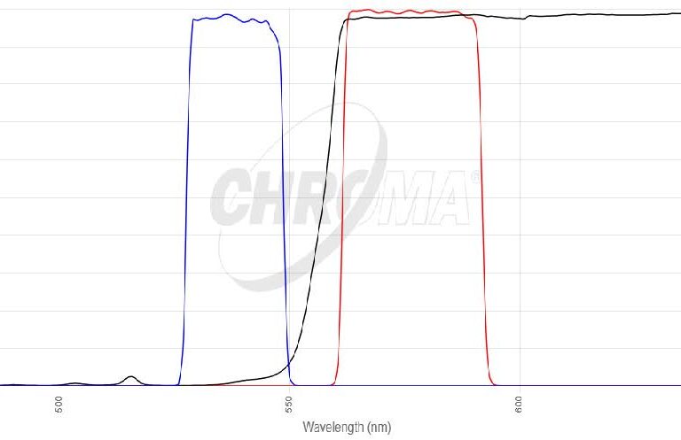 Orange#2 FISHフィルタセット