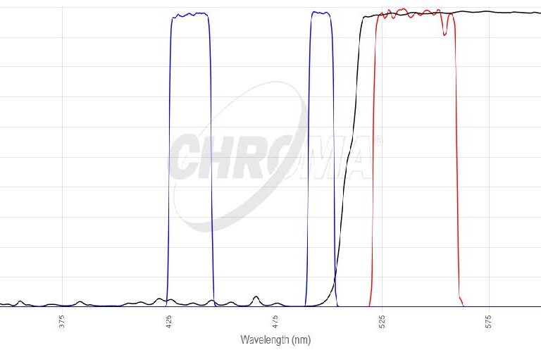 BCECFフィルタセット