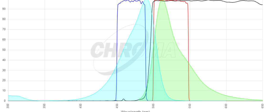 Mito Tracker Green FM/MeOH image