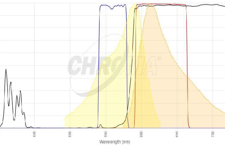 mCherryフィルタセット
