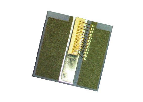 1550nm High Power RSOA Array Chip on Carrier(Multimode)