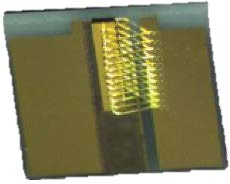 1310nm High Power RSOA Chip on Carrier(Multimode)