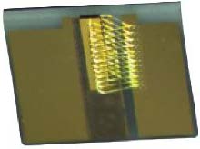 1310nm High Power RSOA Chip on Carrier(Multimode)