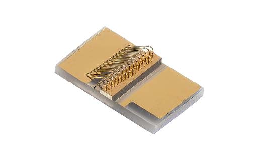 1310nm High Power SOA Chip on Carrier(Multimode)